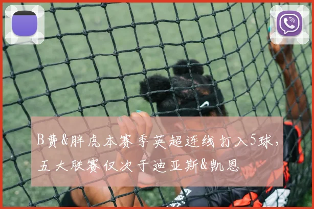 B费&胖虎本赛季英超连线打入5球，五大联赛仅次于迪亚斯&凯恩